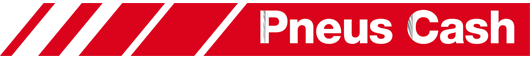 Logo de Pneucash